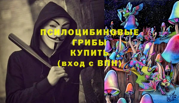 МДПВ Богданович