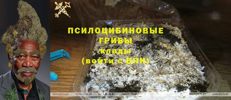 Галлюциногенные грибы MAGIC MUSHROOMS Кызыл