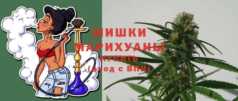 купить наркоту  Кызыл  Бошки Шишки OG Kush 